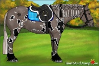 Horse Color:White Spotted Silver Black 