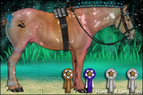 Horse Color:White Spotted Chestnut 