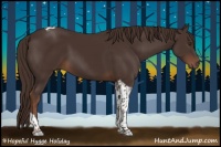 Horse Color:Liver Chestnut Tobiano