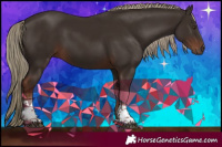 Horse Color:Liver Chestnut Tobiano