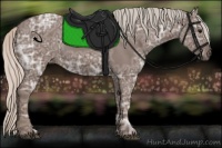 Horse Color:Silver Blue Ice Roan 