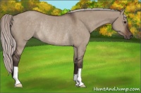 Horse Color:Silver Brown Dun Rabicano 