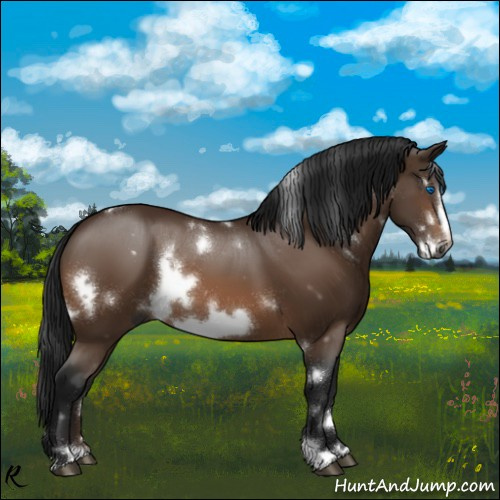 Horse Color:Gray White Spotted Brown Frame 