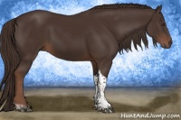 Horse Color:Liver Chestnut Tobiano 