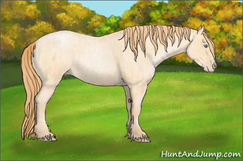 Horse Color:Buckskin Roan Pearl  and Buckskin Roan Pearl Splash 