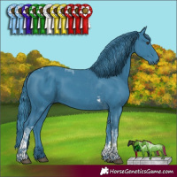 Horse Color:Watercolor Liver Chestnut Tobiano 