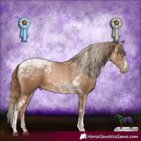 Horse Color:Liver Chestnut Pearl Tobiano 