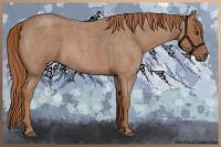 Horse Color:Red Roan 