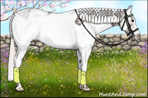 Horse Color:Silver Black Ice Sabino 