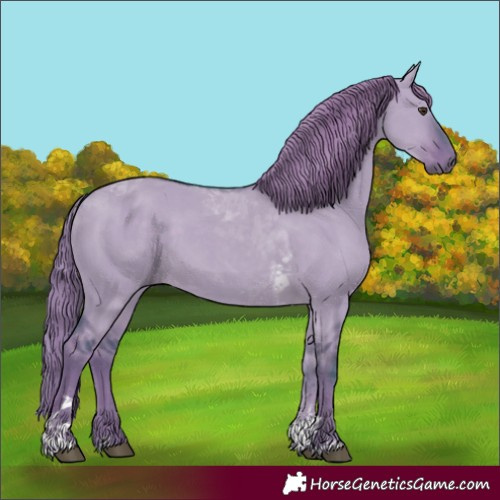 Horse Color:Watercolor Liver Red Dun Tobiano 