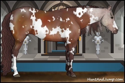 Horse Color:White Spotted Chocolate Bay 