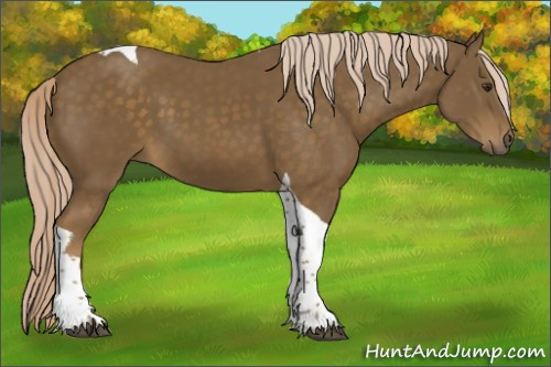 Horse Color:Chocolate Palomino Tobiano 