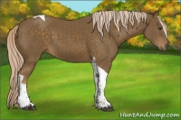 Horse Color:Chocolate Palomino Tobiano 