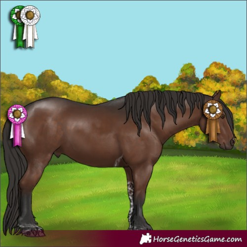 Horse Color:Liver Chestnut Tobiano 