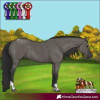 Horse Color:Grullo Tobiano Brindle