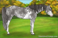 Horse Color:Smoky Black Ice Sabino 