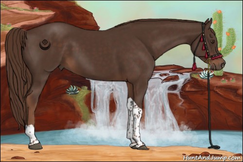 Horse Color:Liver Chestnut Tobiano 