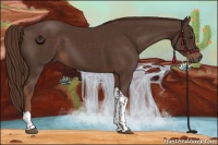 Horse Color:Liver Chestnut Tobiano 