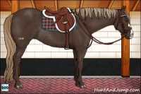 Horse Color:Liver Chestnut Rabicano 