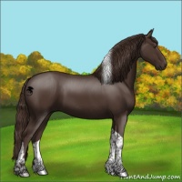 Horse Color:Liver Chestnut Tobiano 