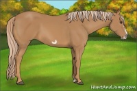 Horse Color:Chestnut Frame
