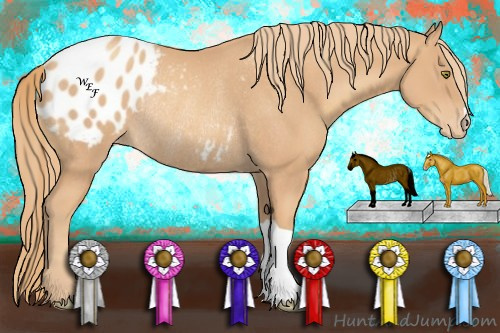 Horse Color:Gold Champagne Appaloosa Rabicano 