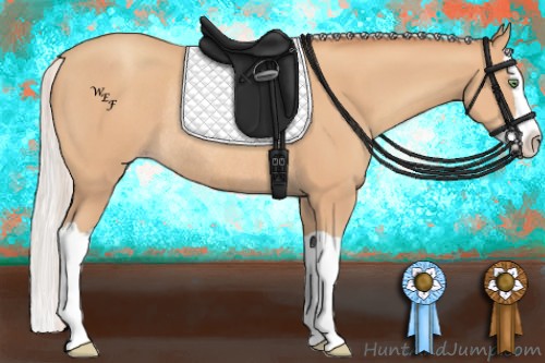 Horse Color:Silver Amber Champagne Splash Rabicano