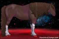 Horse Color:Liver Chestnut Tobiano 