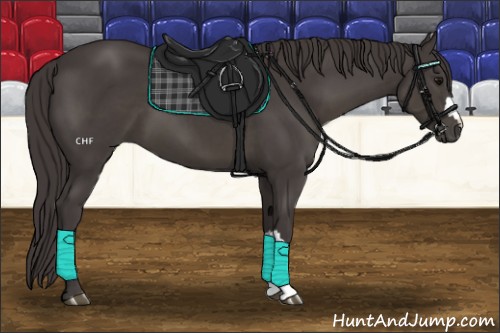 Horse Color:Smoky Black 