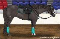 Horse Color:Smoky Black 
