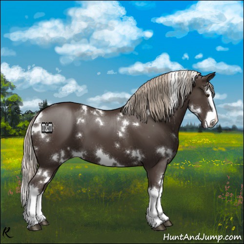 Horse Color:White Spotted Liver Chestnut Splash