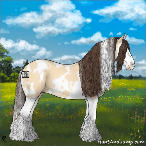Horse Color:White Spotted Sable Cream Champagne Dun Splash 