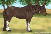 Horse Color:Liver Chestnut Tobiano 