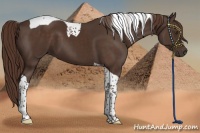 Horse Color:Liver Chestnut Tobiano 