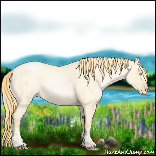 Horse Color:Buckskin Roan Pearl  and Buckskin Roan Pearl 
