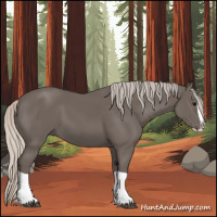Horse Color:Silver Black Splash 