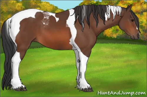 Horse Color:Bay Tobiano