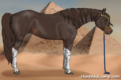 Horse Color:Liver Chestnut Tobiano 
