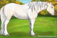 Horse Color:Silver Amber Cream Champagne Roan Pearl Tobiano Frame 