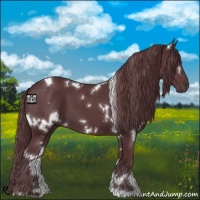 Horse Color:White Spotted Chocolate Black