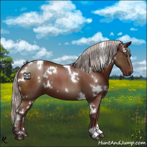 Horse Color:White Spotted Chocolate Silver Brown 