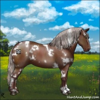 Horse Color:White Spotted Chocolate Silver Brown 
