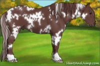 Horse Color:White Spotted Chocolate Smoky Black