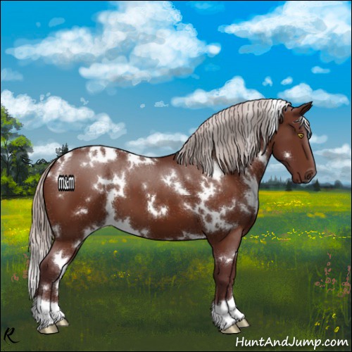 Horse Color:White Spotted Chocolate Silver Bay