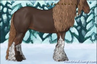 Horse Color:Liver Chestnut Tobiano 