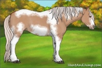 Horse Color:Silver Bay Dun Sabino Tobiano Frame Rabicano