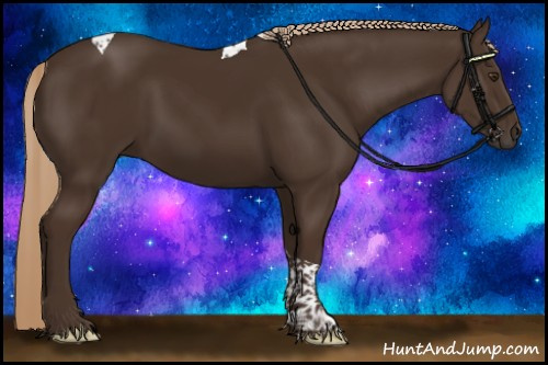Horse Color:Liver Chestnut Tobiano 