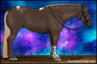 Horse Color:Liver Chestnut Tobiano
