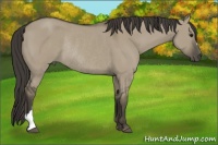 Horse Color:Smoky Grullo Rabicano 