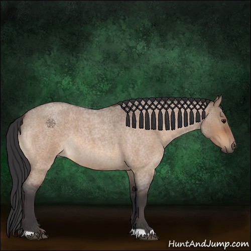 Horse Color:Bay Roan Dun